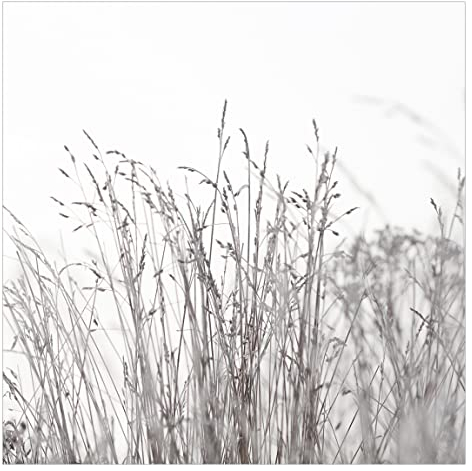 Fototapete - Winterliche Gräser, Material: Vlies Smart, Größe HxB: 192x192 cm