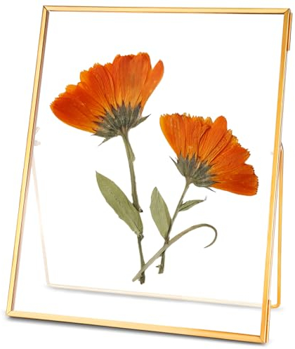 REDHUGO Gepresste Blumenrahmen, Glas-Schwebeframe zur Anzeige von getrockneten Pflanzenspezimenbildern, Hängender Messingbilderrahmen mit Kette, Doppeltes klares Glas, Vintage-Wanddekoration, Rechteck