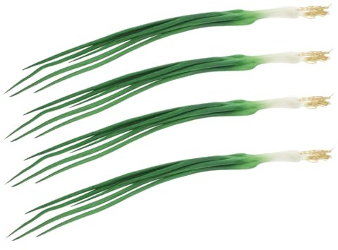 CLISPEED Realistisches Künstliches Gemüse Grüne Frühlingszwiebeln Lebensnahe Nachbildung für Küchen Hotel und Restaurantdekoration Vielseitige Deko für Schaufenster und Party