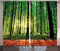 ABAKUHAUS Natur Rustikaler Gardine, Sonnenlicht Wald Bäume, Schlafzimmer Kräuselband Vorhang mit Schlaufen und Haken, 280 x 225 cm, Armeegrün braun