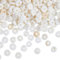PandaHall White Shells Für Schmuckherstellung Kit Für Erwachsene - White Seashells Beads Strand Mit 7.5 m Stretchschnur - Natural Shell Beads Für Armbänder, Halsketten, Halsreifen Und Fußkettchen