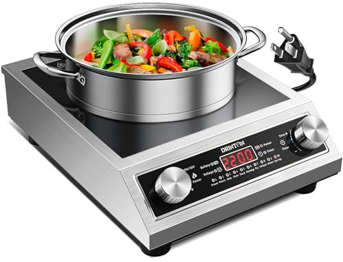 DRINTON Induction Stove, Commercial 2500W Induction Stove, Countertop Large Burner with 10 Cooking Functions and Double Igbt for Safe Use, Portable Stainless Steel Heating Plate