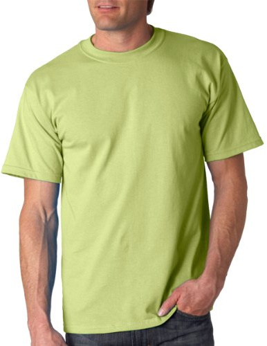 Gildan Mens Ultra Cotton Short Sleeve T-Shirt (S) (Pistachio)