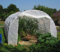 FRANCE SERRES - Serre de Jardin 18m² | Tunnel 6x2,90m | Bâche Thermique | ø25mm | Fenêtres Latérales