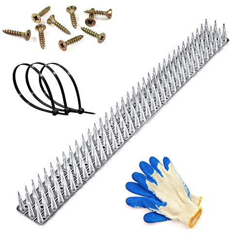 GL Vogelabwehr Set 3-Reihig Länge 5-20 m Tauben- und Vogelschutz | Extra Spikes, Taubenspikes Ideal fürs Dach, Balkon, Zaun oder Fensterbank - Dichte Stacheln (Transparent, 5)