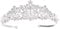 Voarge Tiara Kristallkrone für Bridal, Prinzessin Diadem Hochzeit Tiara Crown, Vintage Prinzessin Krone, für Hochzeit Geburtstag Prom Brautdusche Weihnachten Halloween Kostüm, Blütenform