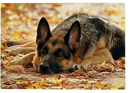 300-teiliges Puzzle für Erwachsene – Deutscher Schäferhund, 38 x 26 cm