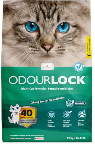 Intersand OdourLock Calming Breeze Cat Litter 12 kg by Two Amigos Pet Supplies