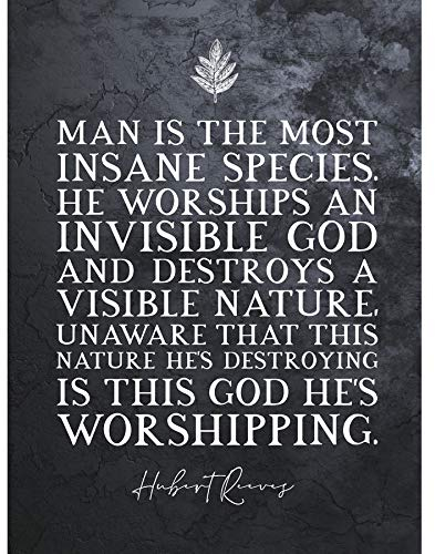 Artery8 Slate Quote Hubert Reeves Invisible God Visible Nature Unframed Art Print Poster Wall Decor 12x16 inch Zitat Natur Wand Deko