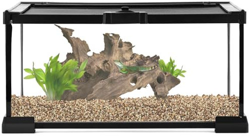 QWORK® Boîte d'alimentation pour Reptiles,Reptile Terrarium, 30 x 20 x 15 cm pour Une variété de Reptiles et d'insectes