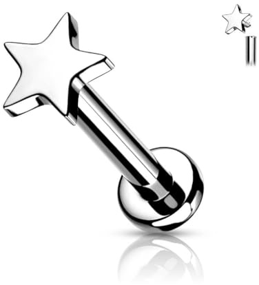 Stachelkleid Titan Labret Stern Flach Innengewinde Lippe Ohrpiercing Piercing Schmuck Ohrstecker