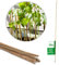 Novatool 20 Stück Tonkinstäbe 60 cm I ø 6-8 mm I Braun I Tonkinstab Rankstäbe Tomatenstäbe Rankstab Tomatenstab Blumenhalter Bambusstab für Pflanzen Stütze