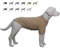 Lovelonglong Geripptes Hunde-T-Shirt, Baumwolle, gestrickt, Hundepullover für alle Jahreszeiten, Haustier-T-Shirts für große, mittelgroße und kleine Hunde, Beige, Größe M