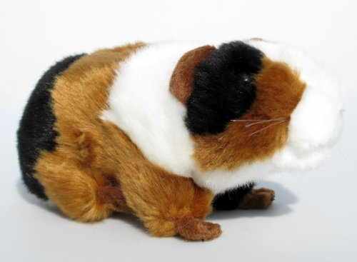 Plüschtier Meerschweinchen - lebensecht - bunt Kuscheltier Stofftier