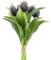 mucplants künstliche Tulpen Tulpenbündel mit 4 Tulpen und 3 Tulpenknospen real Touch (Schwarz)