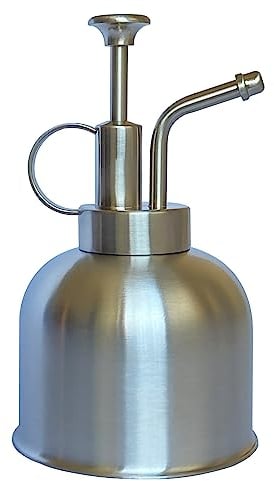 LIANSHI Spruzzatore per piante in acciaio inossidabile, piccolo annaffiatoio per piante, moderni attrezzi da giardinaggio per irrigazione e spruzzatura di piante in vaso (0.3L/Argento opaco)