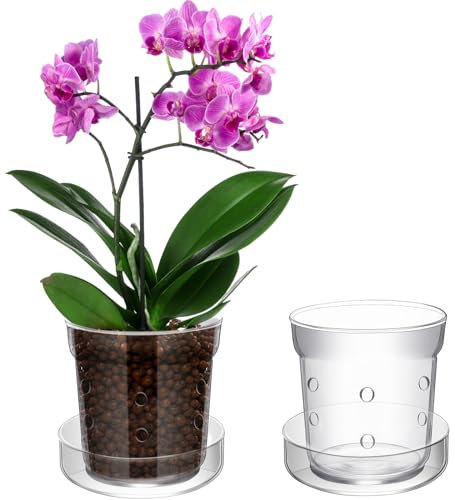 Baderke 1 Piece Orchid Pot with Drainage Holes and Tray Transparent Glass Pot Planter for Orchids Flower Repotting Anti Slip Glass Plant Vase for Indoor Outdoor Home Decor(6 Inch)
