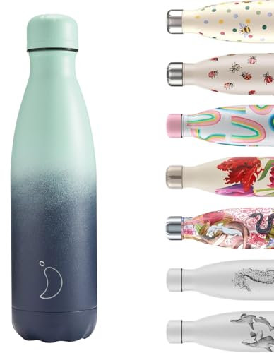 Chilly's Wasserflasche - Edelstal und wiederverwendbar - Auslaufsicher, schweißfrei - Deep Spring, 500ml