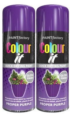 DIOXSTAR Purple Spray Paint, Gloss Finish, Quick Drying Paint, All Purpose Spray Paint for Metal, Wood, Plastic, Interior & Exterior Use, 250ml (2 PCS)