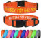 TagME Personalisierte Hundehalsband für Große Hund Mit Gestickten, Reflektierendes Nylon Hundehalsband Mit Pet Name & Telefonnummer, Orange XL