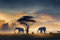 Holz-Bild 50 x 30 cm: Aquarellmalerei Wilde Giraffe und Elefant mit Morgenlicht im Afrika-Feld (192633684)