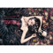 KV&H Verlag Heye 29209 - Standardpuzzles 2000 Teile Leaves, Victoria Francés
