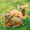 HEITIGN 2 Pièces Sika Cerf Statue Sculpture Ornements Animal Modèle Art Artisanat Extérieur Jardin Décoration Ornement