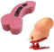 Maelsa® Lot Farce et Attrape Éponge de Bain Zizi + Zizi sauteur/Quequette sauteuse - Idéal Cadeau Anniversaire Noël EVJF