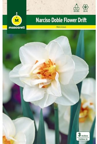 Mascarell Semillas, NARCISOS DOBLES FLOWER DRIFT, Semillas Bulbosas, Bulbos de Flores Otoño Fácil de Cultivar, Bolsa 5 Bulbos