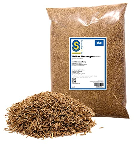 Weißes Straußgras 1kg Agrostis stolonifera Feinblättrig, tiefschnittverträglich und belastbar Ideal für Zierrasen und Golfgrüns, für 200 m²