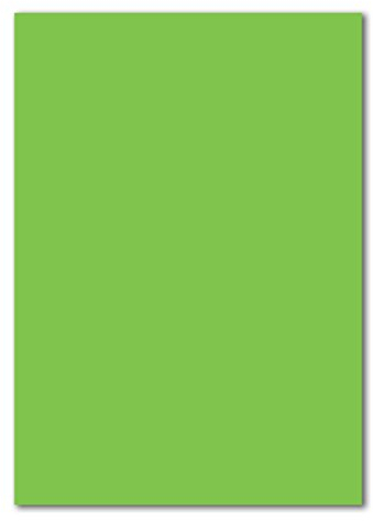 50 DIN A4 Papierbogen Planobogen - Hellgrün (Grün) - 160 g/m² - 21 x 29,7 cm - Bastelbogen Ton-Papier Fotokarton Bastel-Papier Ton-Karton - FarbenFroh