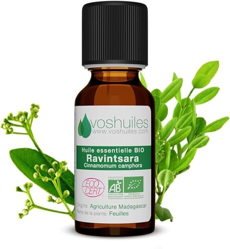 Voshuiles - Huile Essentielle Ravintsara Bio 20ml - Utilisation Polyvalente et Alimentaire - Parfum Frais - Huiles Essentielles de Qualité - 100% Pure et Naturelle - HEBBD et Certifiée ECOCERT