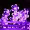 ZVO Solar Lichterkette Außen Blumen, 7M 50 LED Solar Lichterkette Aussen Blühen Blume Kirschblüten, 8 Modus IP65 Wasserdichte Solarbeleuchtung für Terrasse Garten Balkon Weihnachten Deko(Lila)