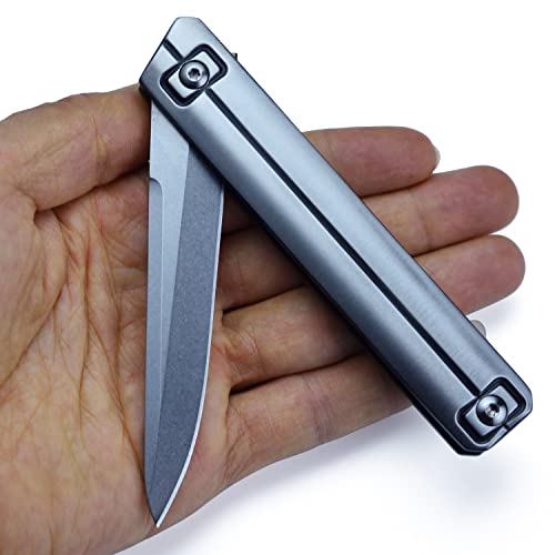 JPCRMOV D2 Couteau Pliant de Poche, Petit Couteau de Survie,Couteau de Chasse Randonnée,Camping Bushcraft EDC Outils (Drop Point)