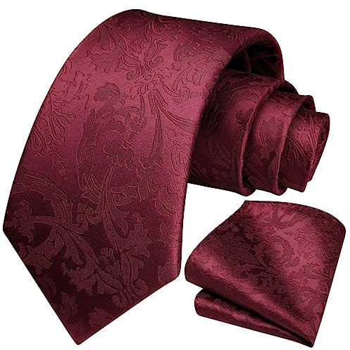HISDERN Krawatte Herren Paisley Krawatte und Einstecktuch Set Krawatten Burgund Rot