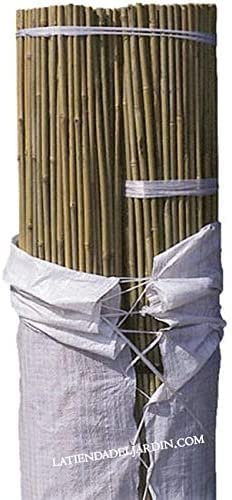 Suinga Pack 100 Tutores de Bambu 150 cm (12-14 mm) | Varillas de Bambu Resistentes para Plantas, Árboles y Hortalizas | Soporte para Plantas, Tomates | Tutores para Plantas trepadoras