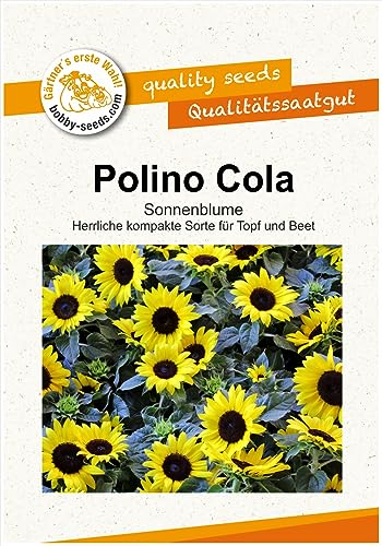 Blumensamen Polino Cola Sonnenblume Portion