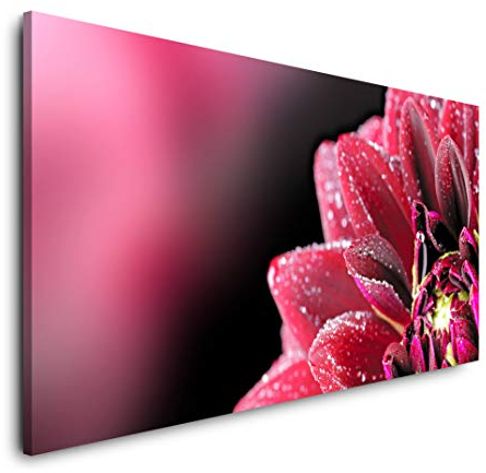 Dahlie mit Tautropfen 120x 60cm Panorama Leinwand Bild XXL Format Wandbilder Wohnzimmer Wohnung Deko Kunstdrucke