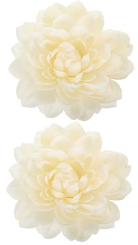 Lot De 2 Pinces À Rideaux Décoratives Et Robustes pour La Décoration des Fenêtres De La Maison