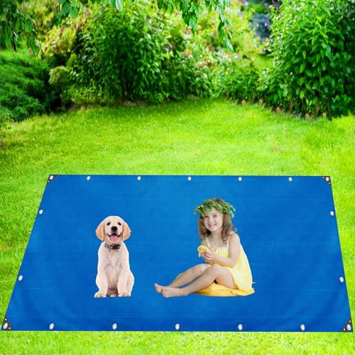 Tarpaulin 3x15.5 m 500g/m² Thick Woven Waterproof Double-Sided Fabric, Supreme Versatility for Covering, Protecting LXX94W, Blue