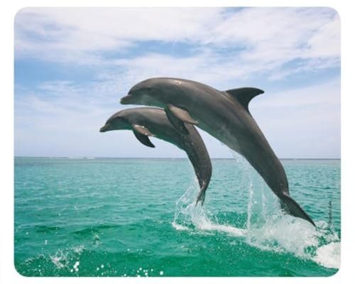 Tier-Mousepad SPRINGENDE Delfine/Mauspad Motiv 21 - Wale und Delphine - Qualitäts-Mousepad aus extrem reissfestem Spezialkautschuk mit stark haftender Unterseite für optimalen Halt.