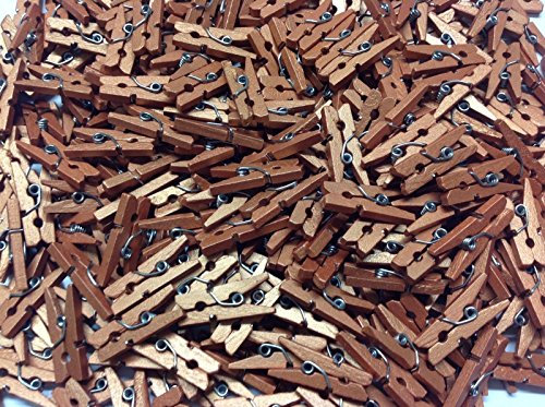 celloexpress Copper 25mm Mini Wooden Craft Pegs - Scrapbooking, Display Photos & Keepsakes (Pack of 50)