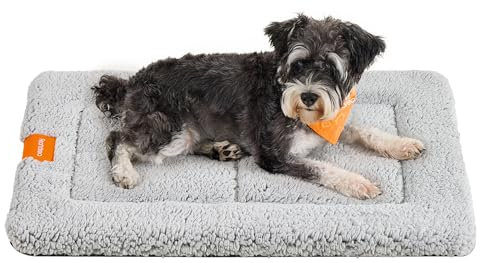 Feandrea Hundedecke, Haustier Decke, für Hunde, Katzen, 75 x 50 cm, M, maschinenwaschbar, trocknergeeignet, rutschfest, hellgrau PPB019G01