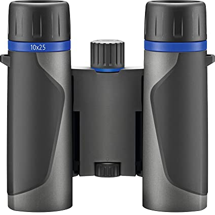 Zeiss Terra Ed Jumelles de Poche Gris 10 x 25