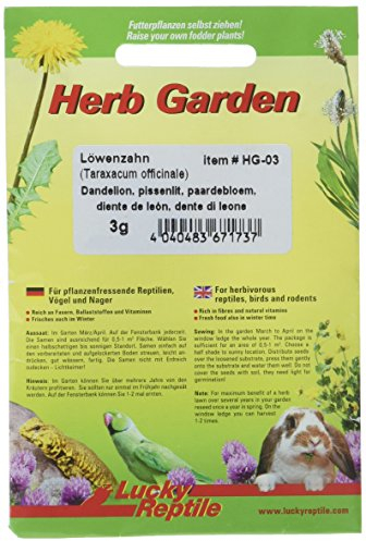 Lucky Reptile HG-03 Herb Garden - Pissenlit 3 g