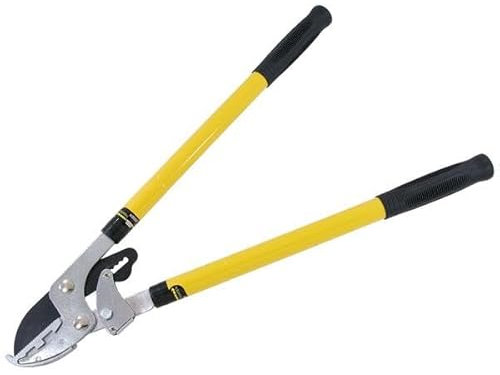 Neilsen CT3462 Telescopic Ratchet Tree Lopper - Extendable Branch Cutter, High Carbon Steel Blades, Comfortable Soft Grip, Cuts Branches Up to 35mm Thick
