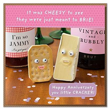 Cheese Gone Crackers They were Just Meant to Brie Cheesy Anniversary Card
