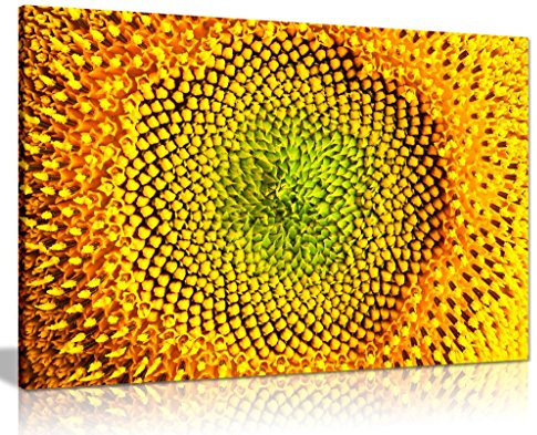 Yellow Sunflower Closeup Canvas Wall Art Picture Print (24x16)