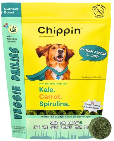 Chippin Healthy Dog Treats, All Natural Crunchy Biscuits with Spirulina, Kale, Oats, No Meat, Hypoallergenic, Vegan Treats for Puppy, Small, Large Dogs