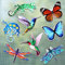 Photect 16 Stück Fliegengitter Aufkleber Magnet Fliegengitter Sichtbar Machen Schmetterling Libelle Kolibri Gecko Einziehbar Fliegengitter Tür Magnete für Mehrfarbig Küchen Büro Deko, 8 Stil